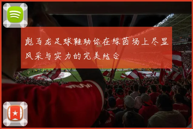 彪马龙足球鞋助你在绿茵场上尽显风采与实力的完美结合