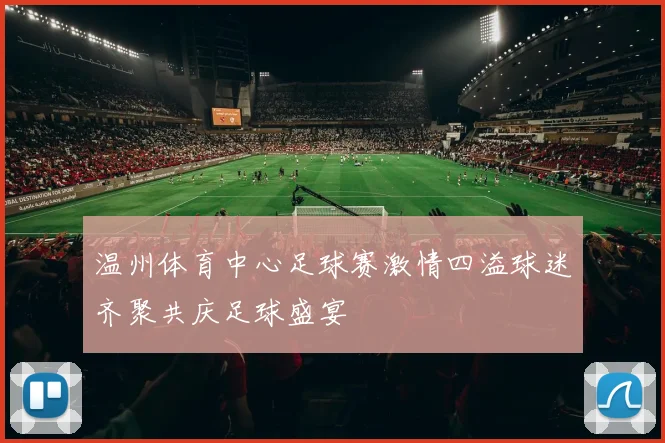 温州体育中心足球赛激情四溢球迷齐聚共庆足球盛宴