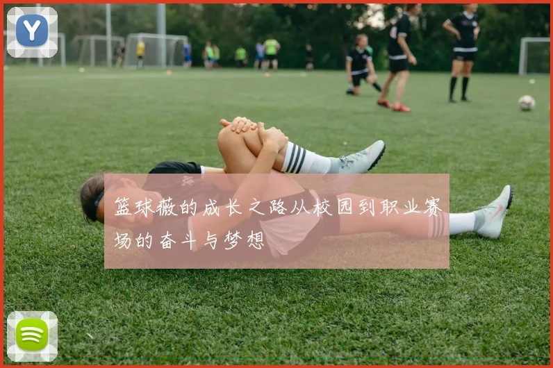 篮球薇的成长之路从校园到职业赛场的奋斗与梦想