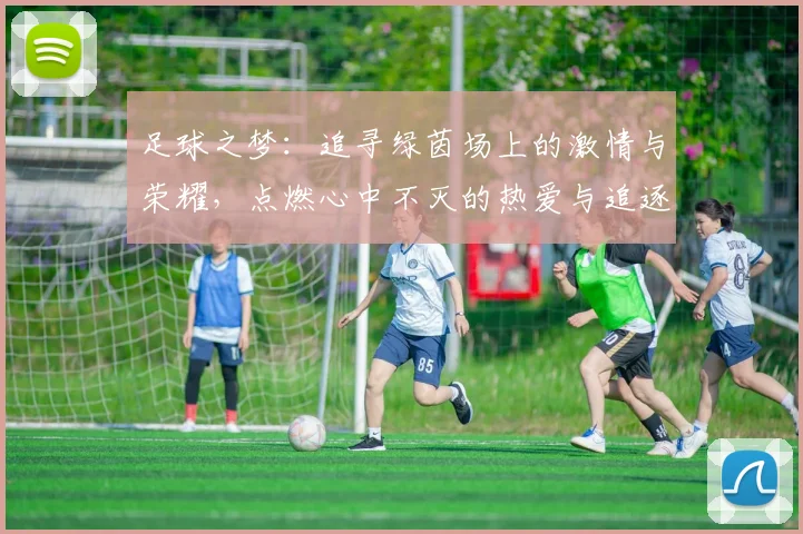 足球之梦：追寻绿茵场上的激情与荣耀，点燃心中不灭的热爱与追逐